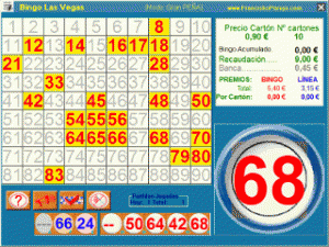 Software de bingo profesional