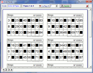 Software de bingo personalizado